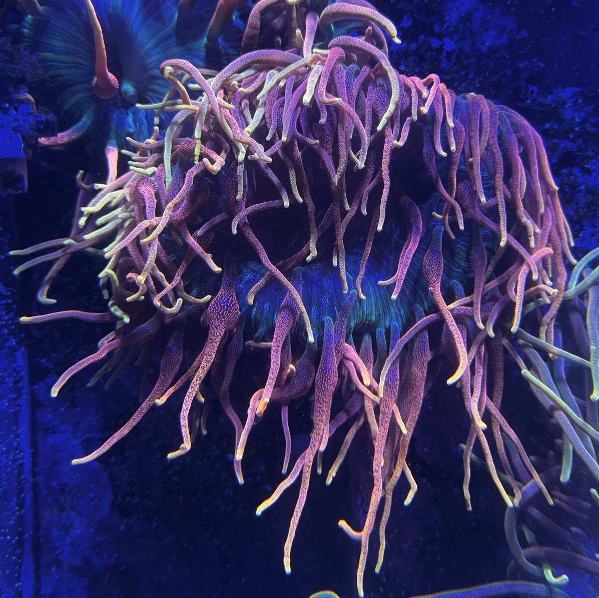 IMG_6889.jpeg