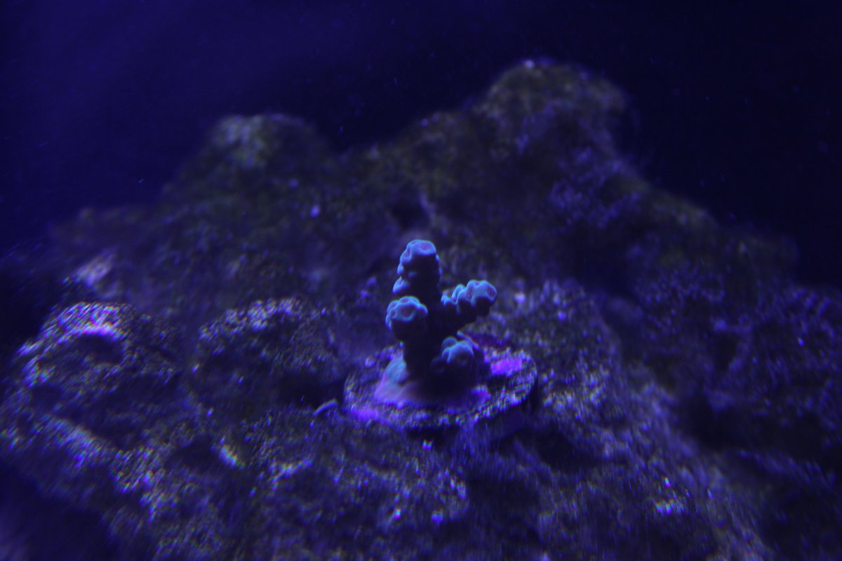 IMG_6891.JPG