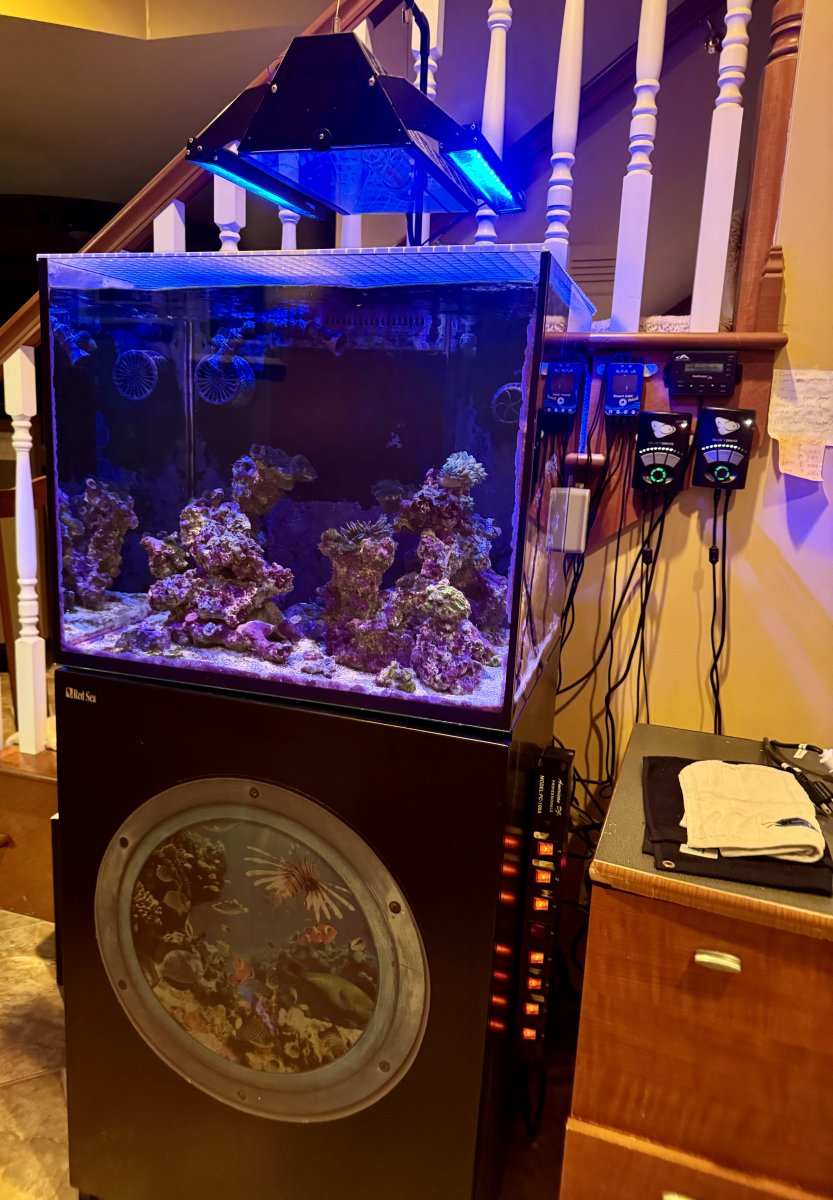 Build Thread - 270 Gallon 