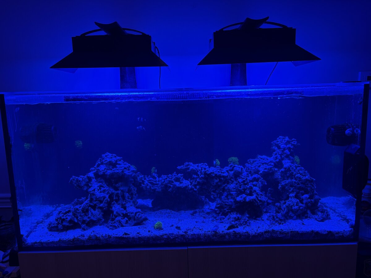 IMG_6900.jpeg