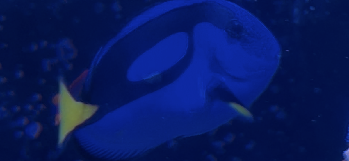 IMG_6904.png