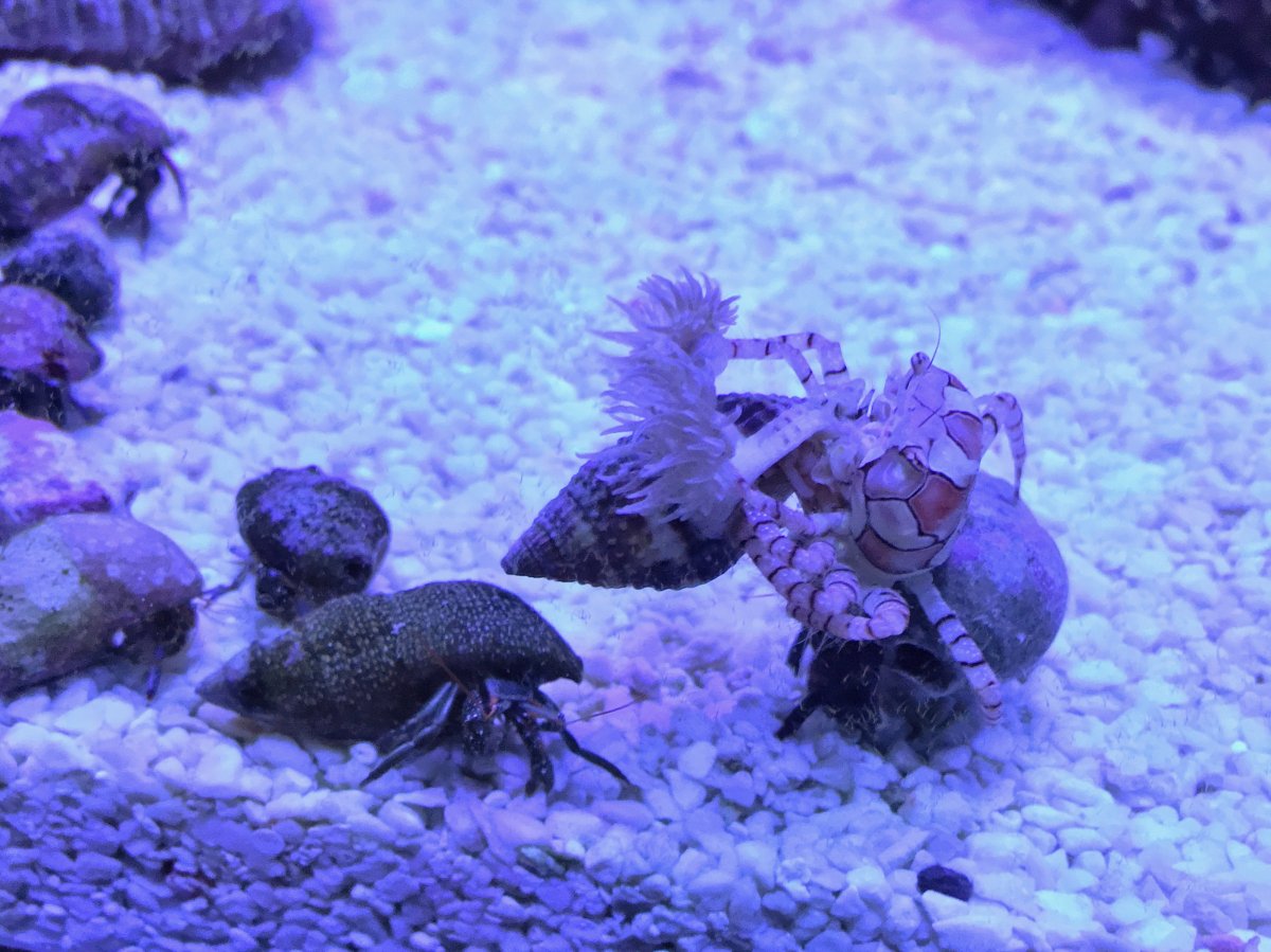 IMG_6910.JPG