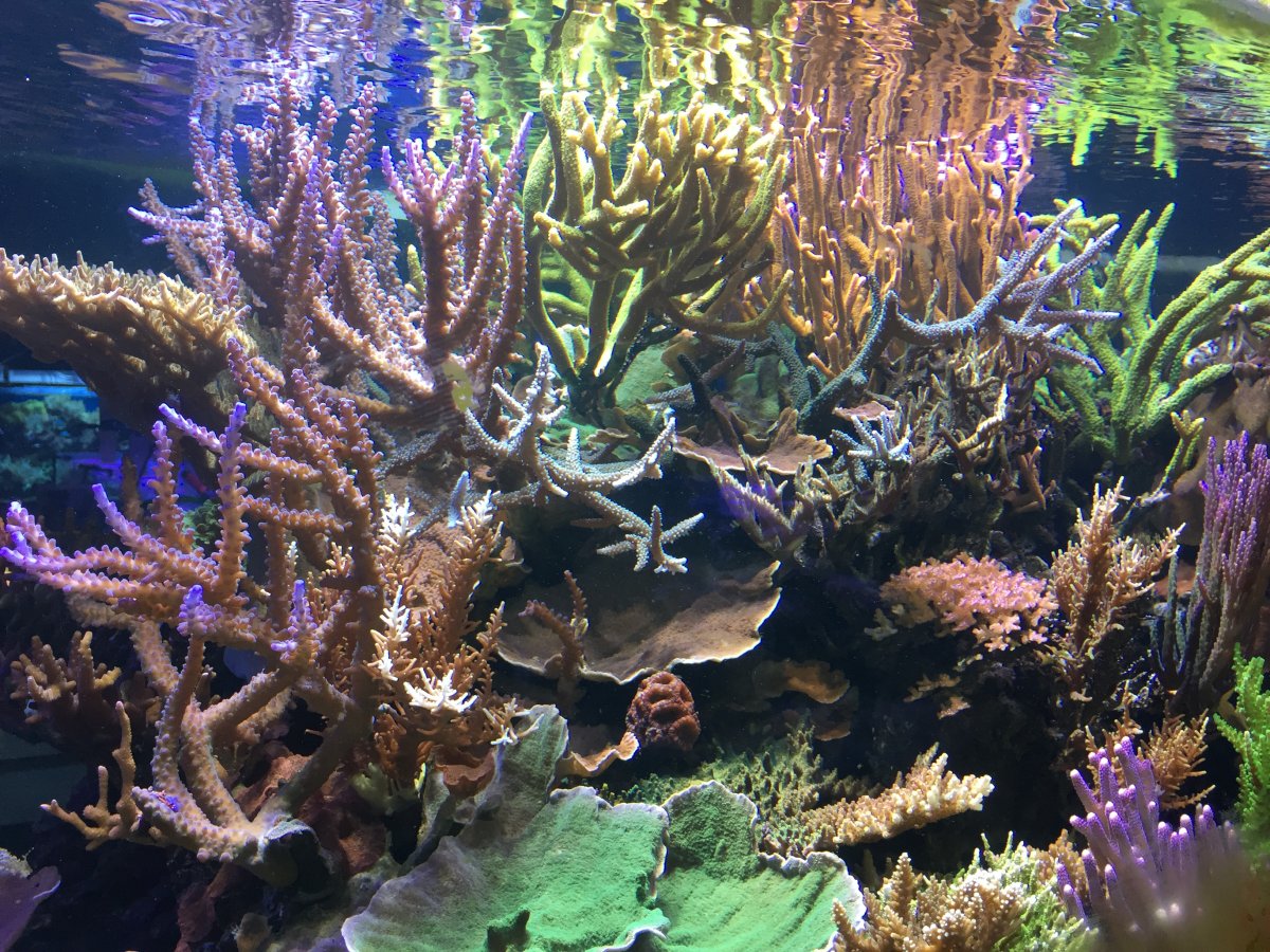 IMG_6910.JPG
