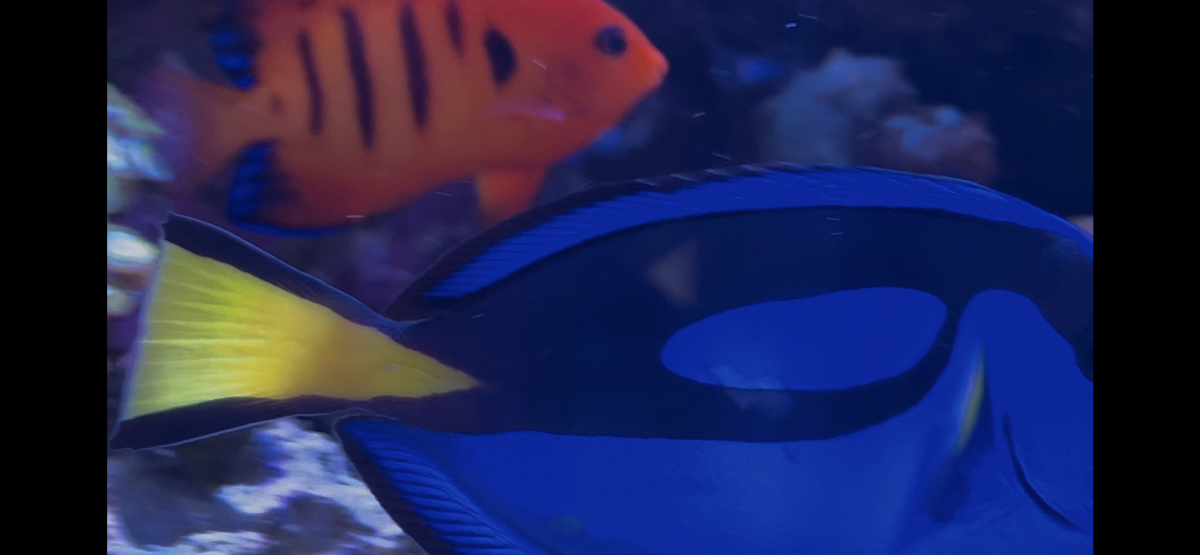 IMG_6914.png