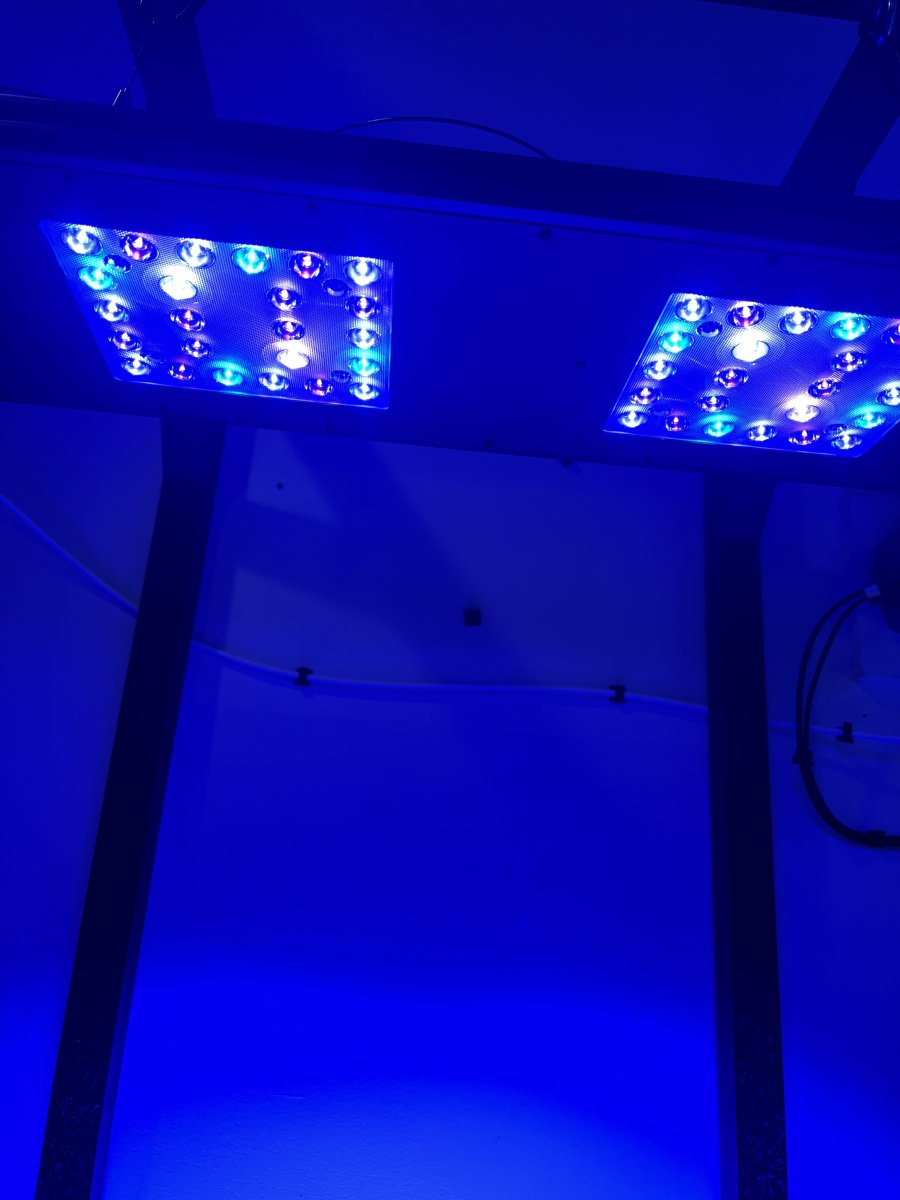 Meridian 24 for 36x21x21 Tank? | Reef2Reef