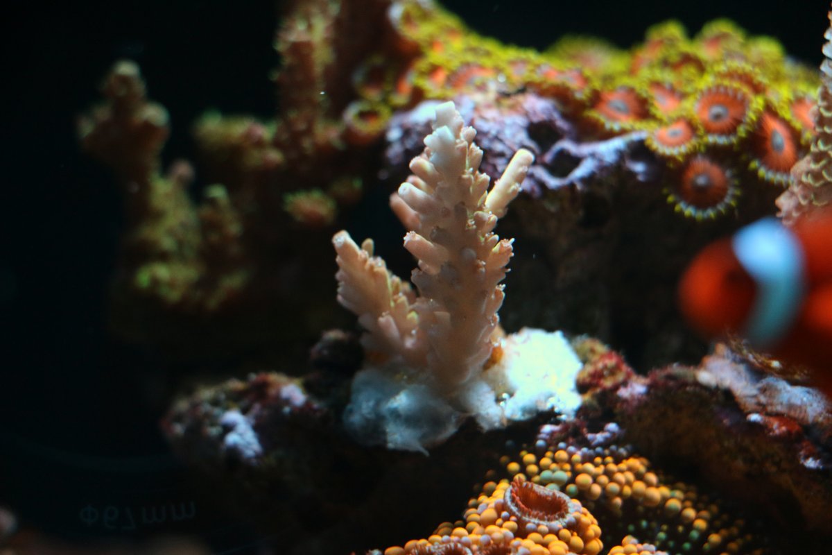 IMG_6931.JPG