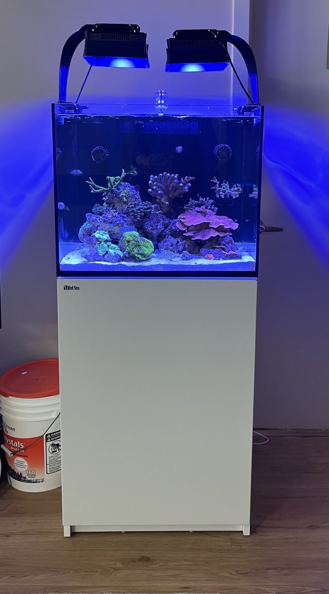 水槽 RED SEE  REEFER170 Red Sea - Reefer 170 G2 Complete System (34 gal) – sjreef