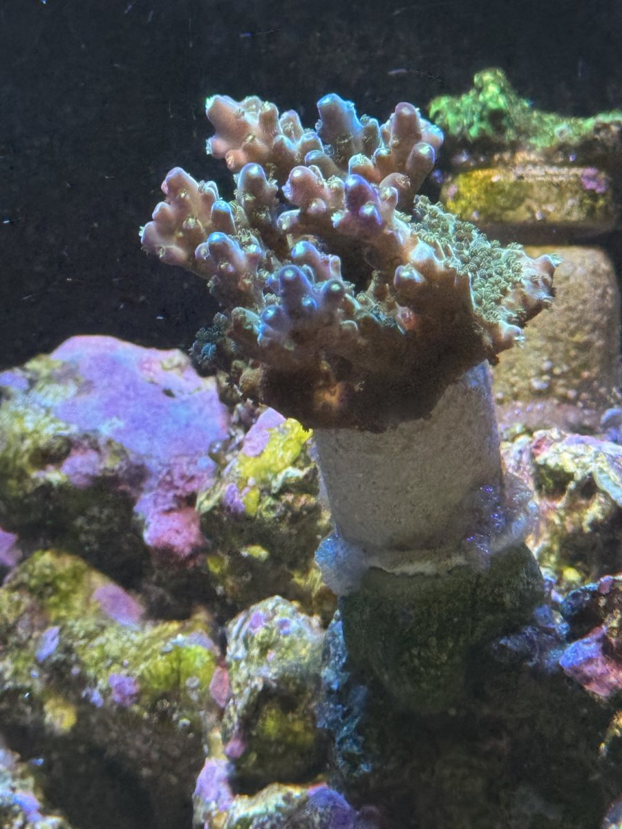 IMG_6943.jpeg