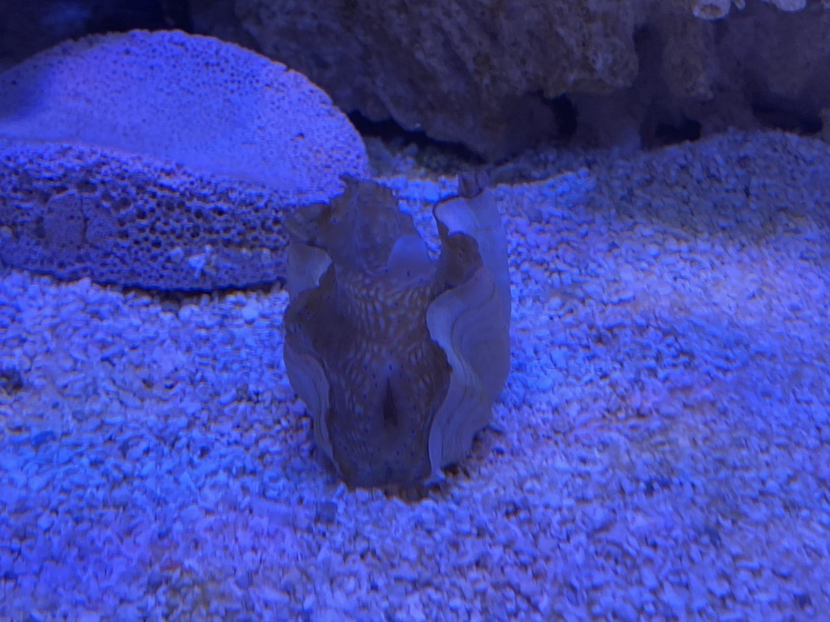IMG_6959.jpg