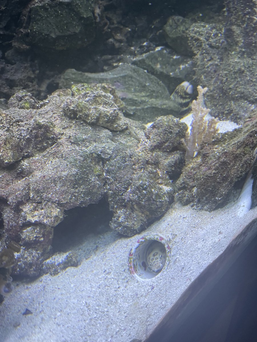 IMG_6960.jpeg