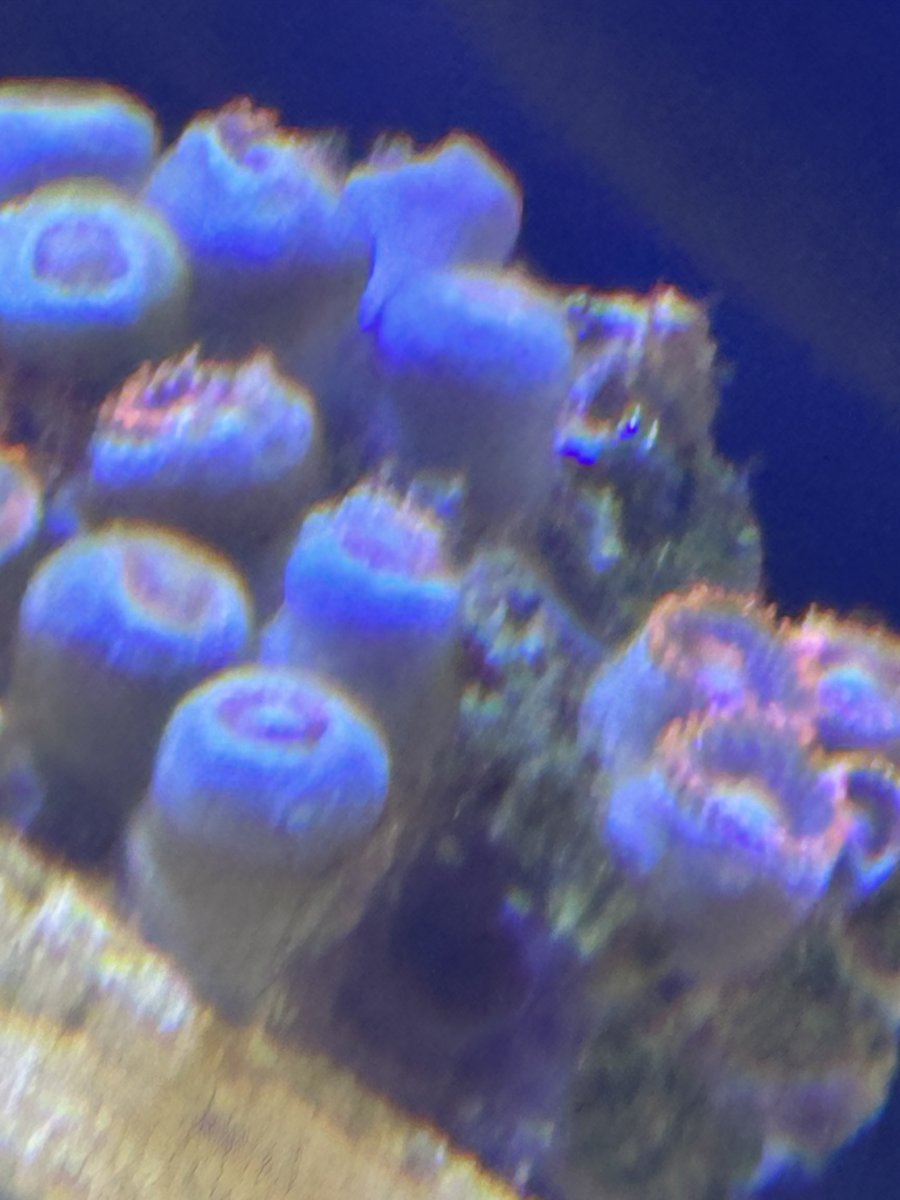 IMG_6963.jpeg