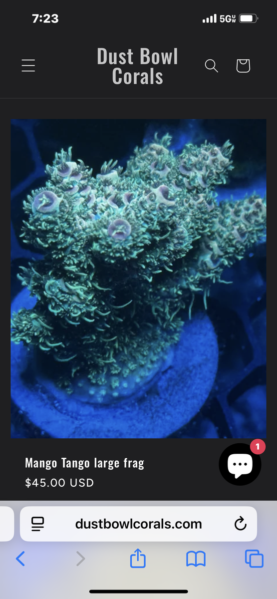 IMG_6963.png
