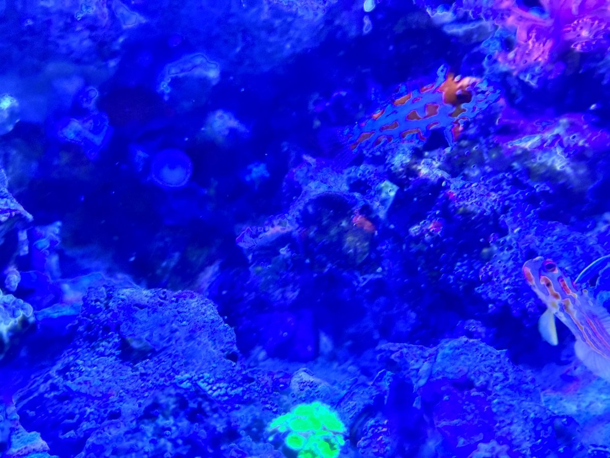 IMG_6968.jpeg