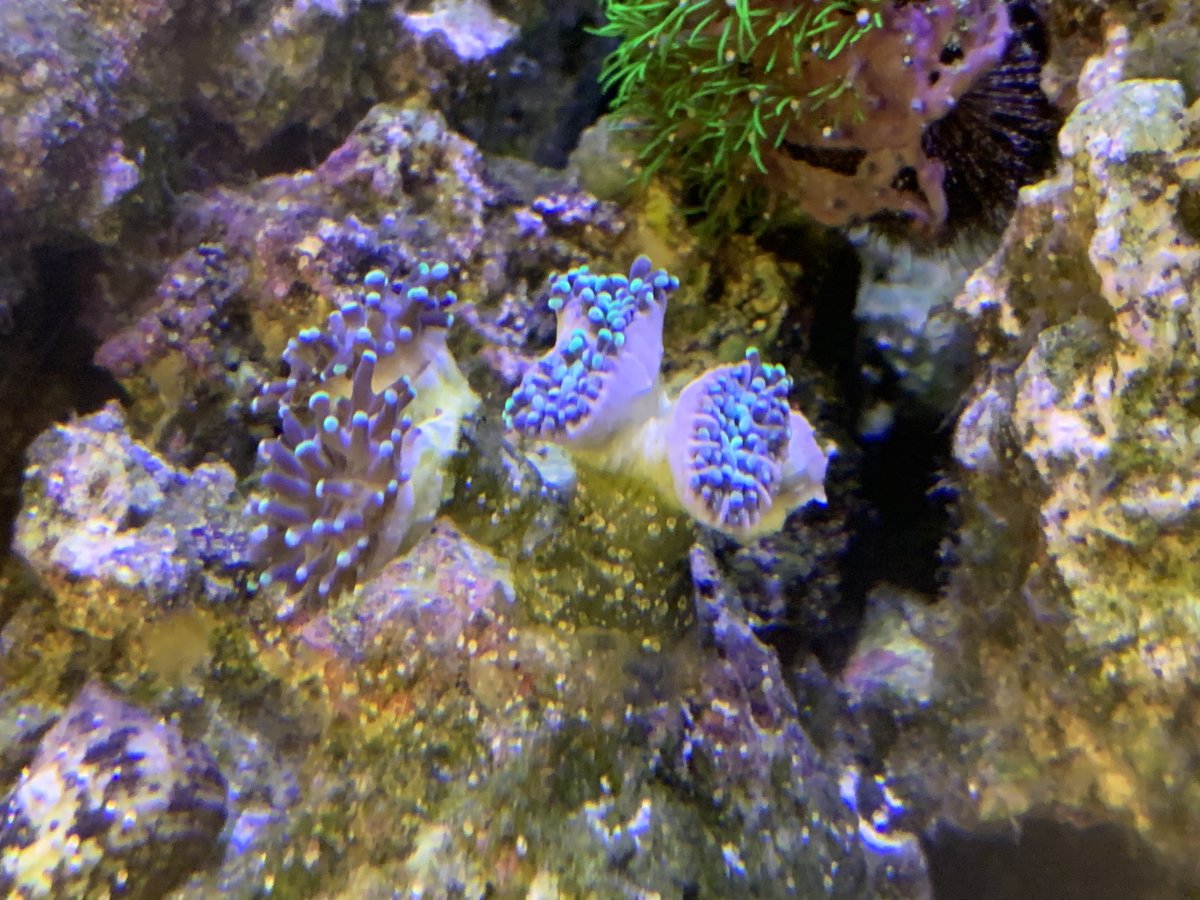 IMG_6986.jpeg