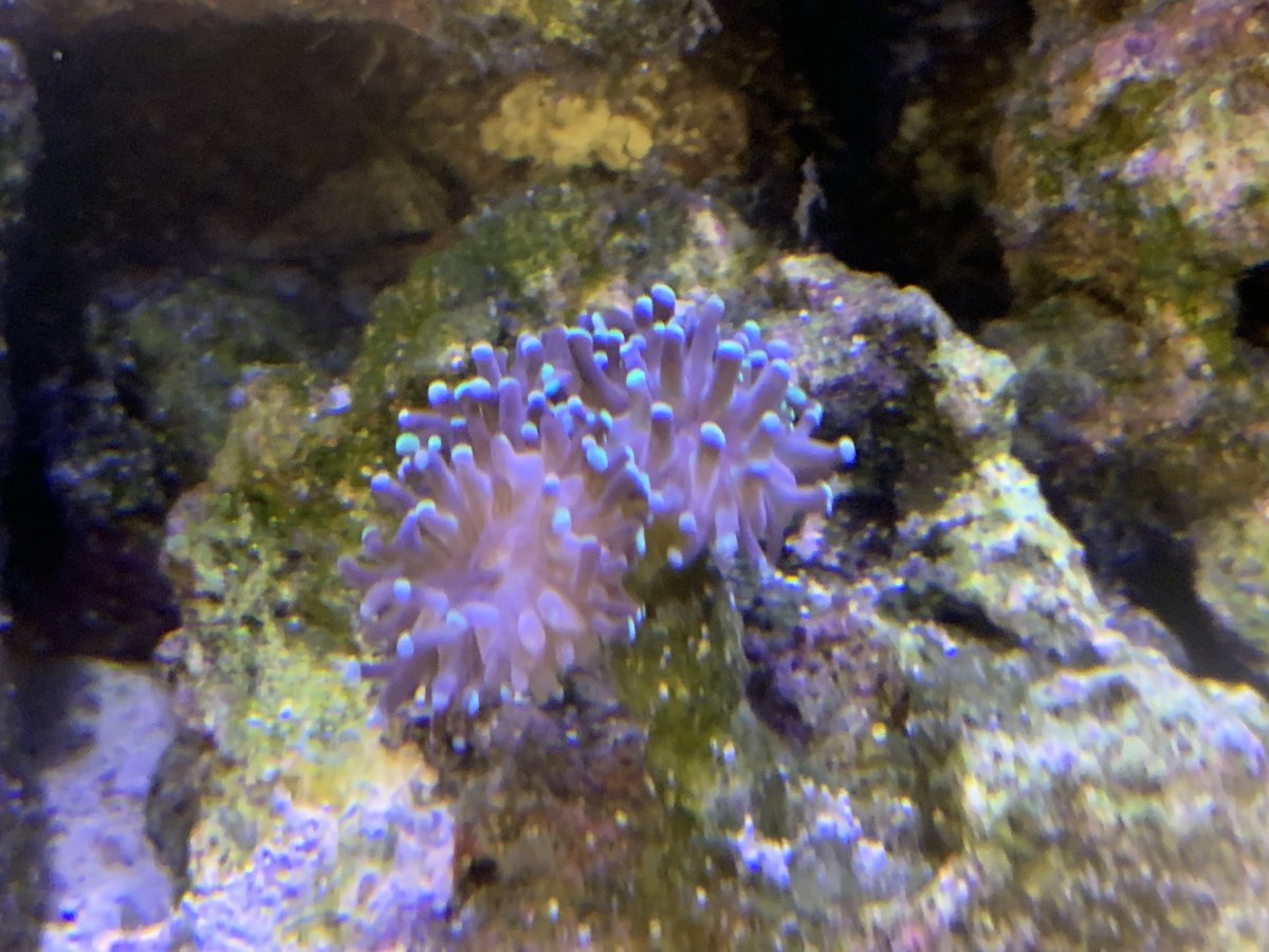 IMG_6987.jpeg