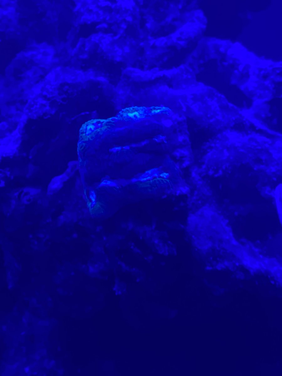 IMG_7023.jpeg