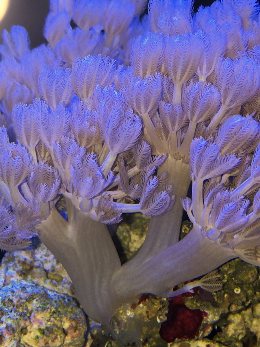 IMG_7030.JPG