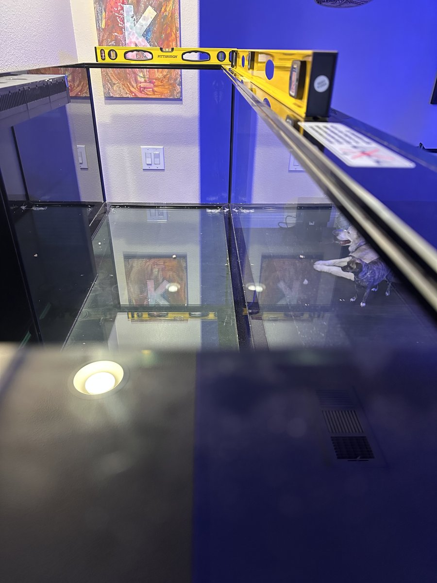 IMG_7073.jpeg