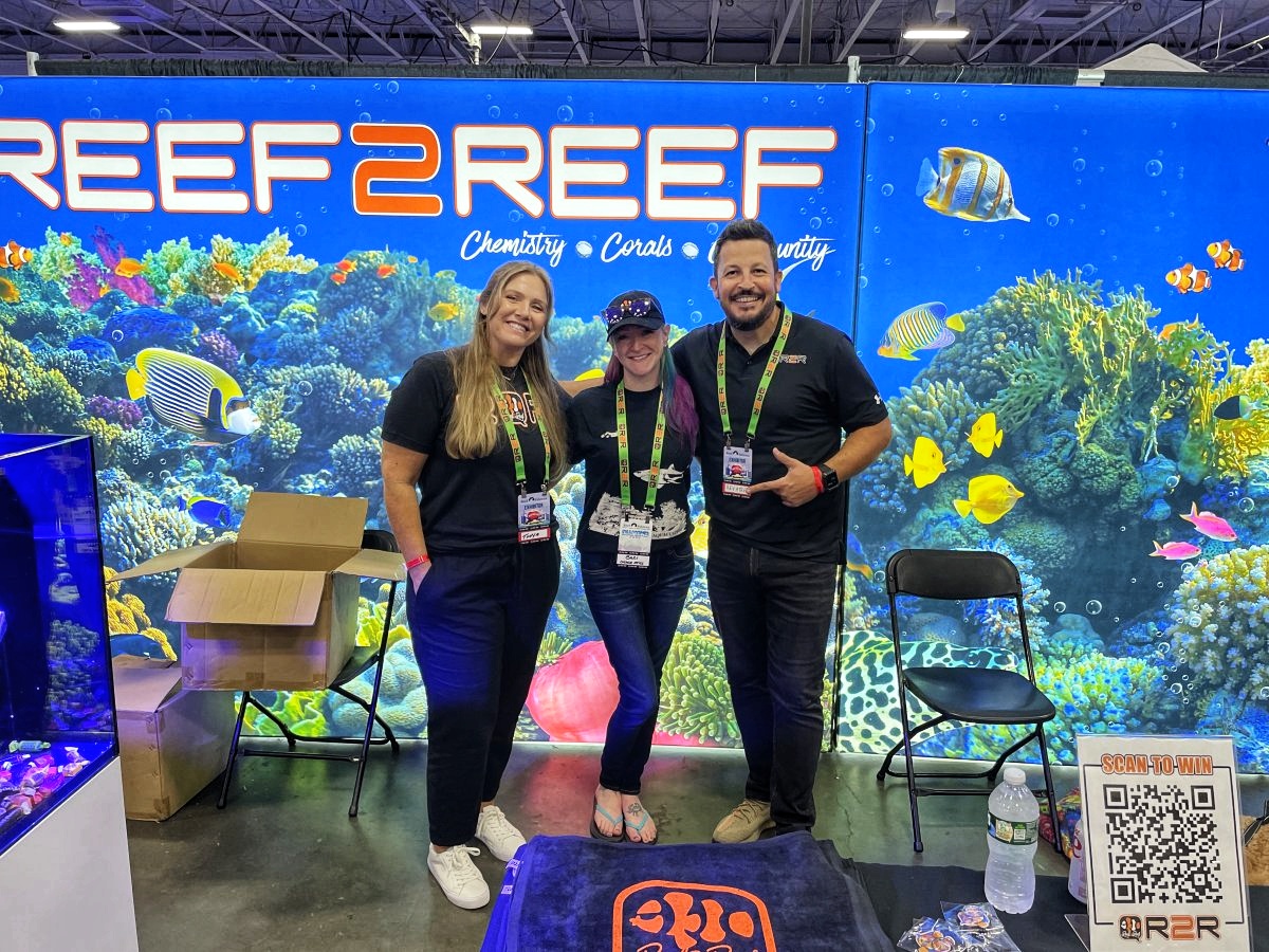 QUESTION OF THE DAY - Reef Year in review: What were the notable ...
