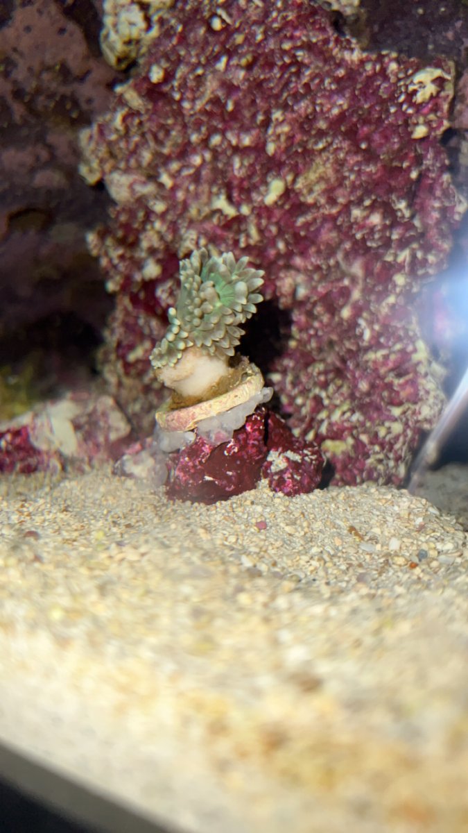 IMG_7100.jpeg
