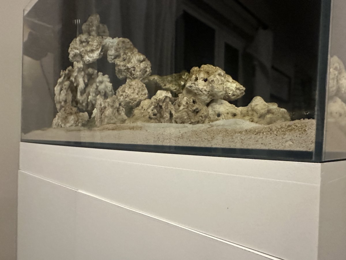 IMG_7101.jpeg