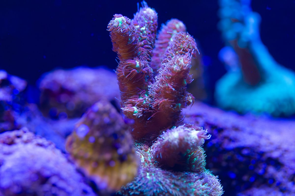 IMG_7101.jpeg