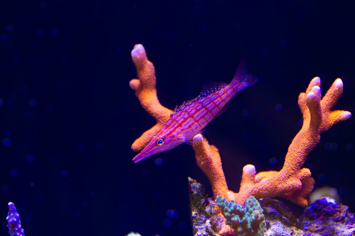 IMG_7124.jpg