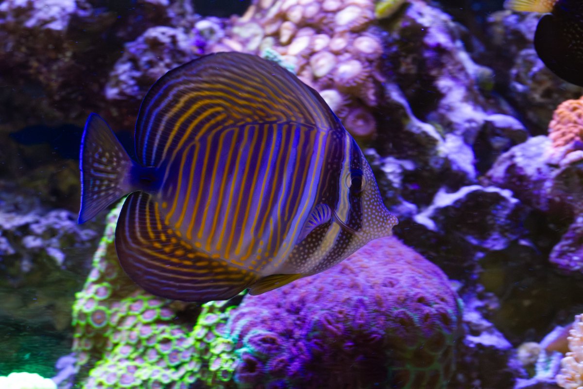 IMG_7138.jpg