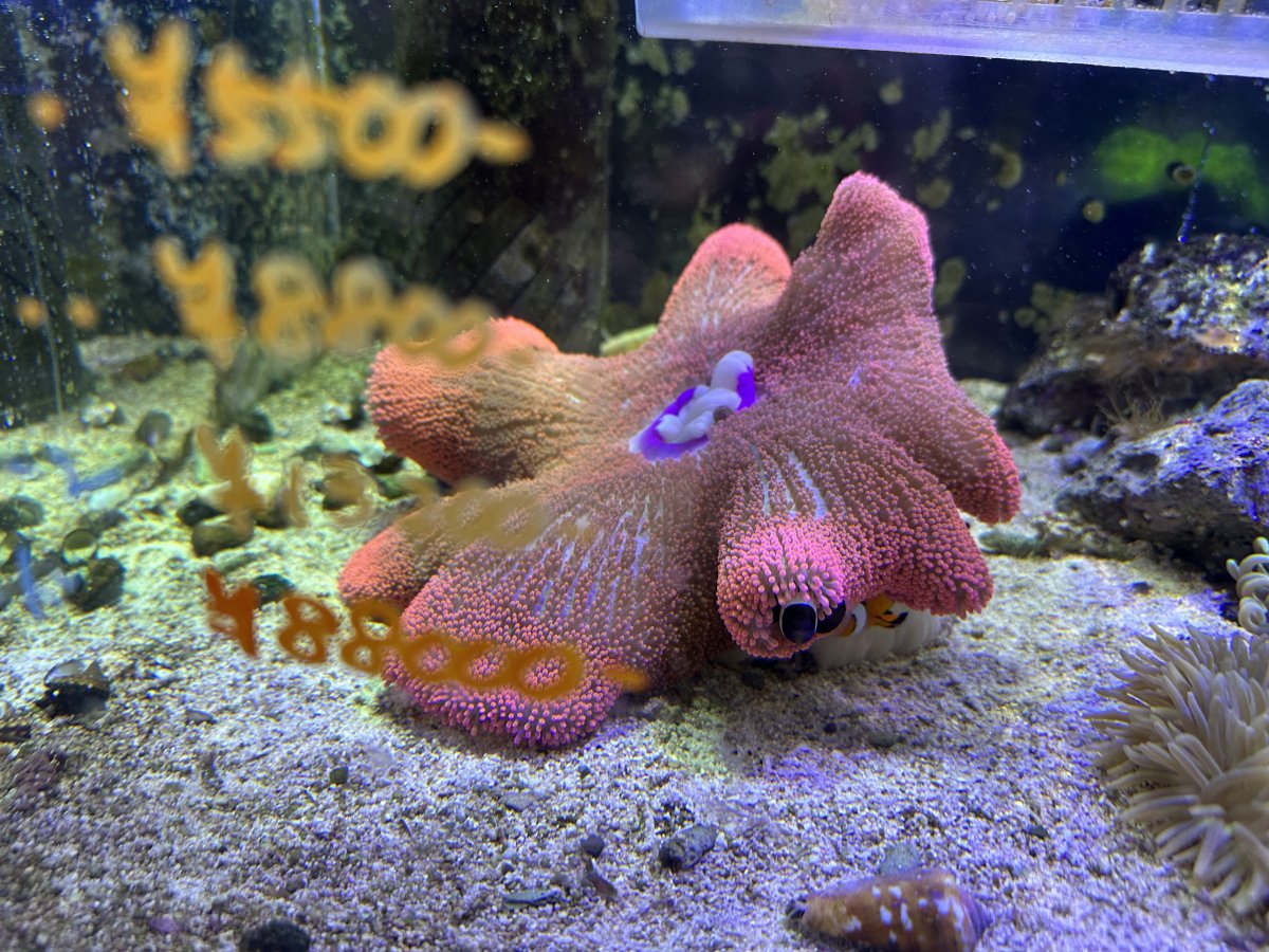 IMG_7139.jpeg