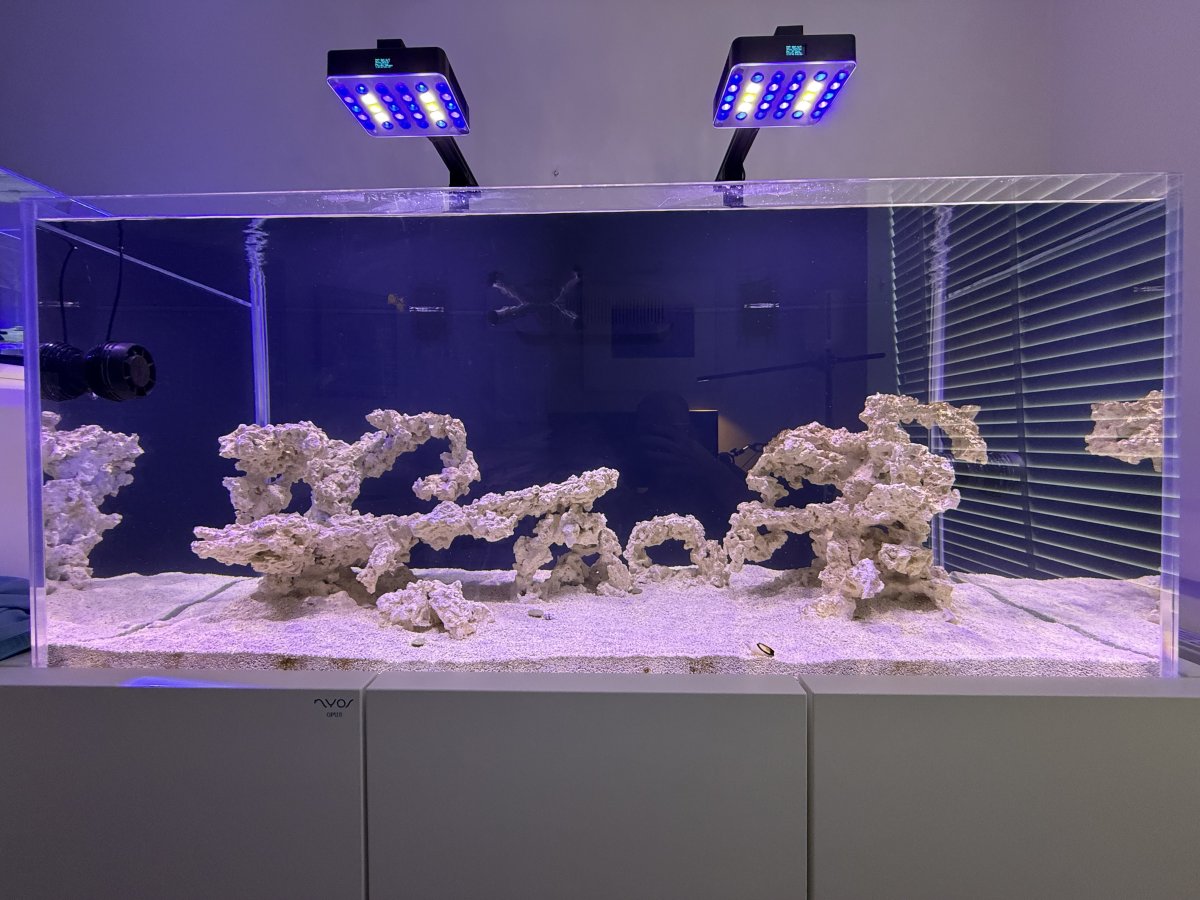Setting Par Levels in a new mixed reef tank | Reef2Reef