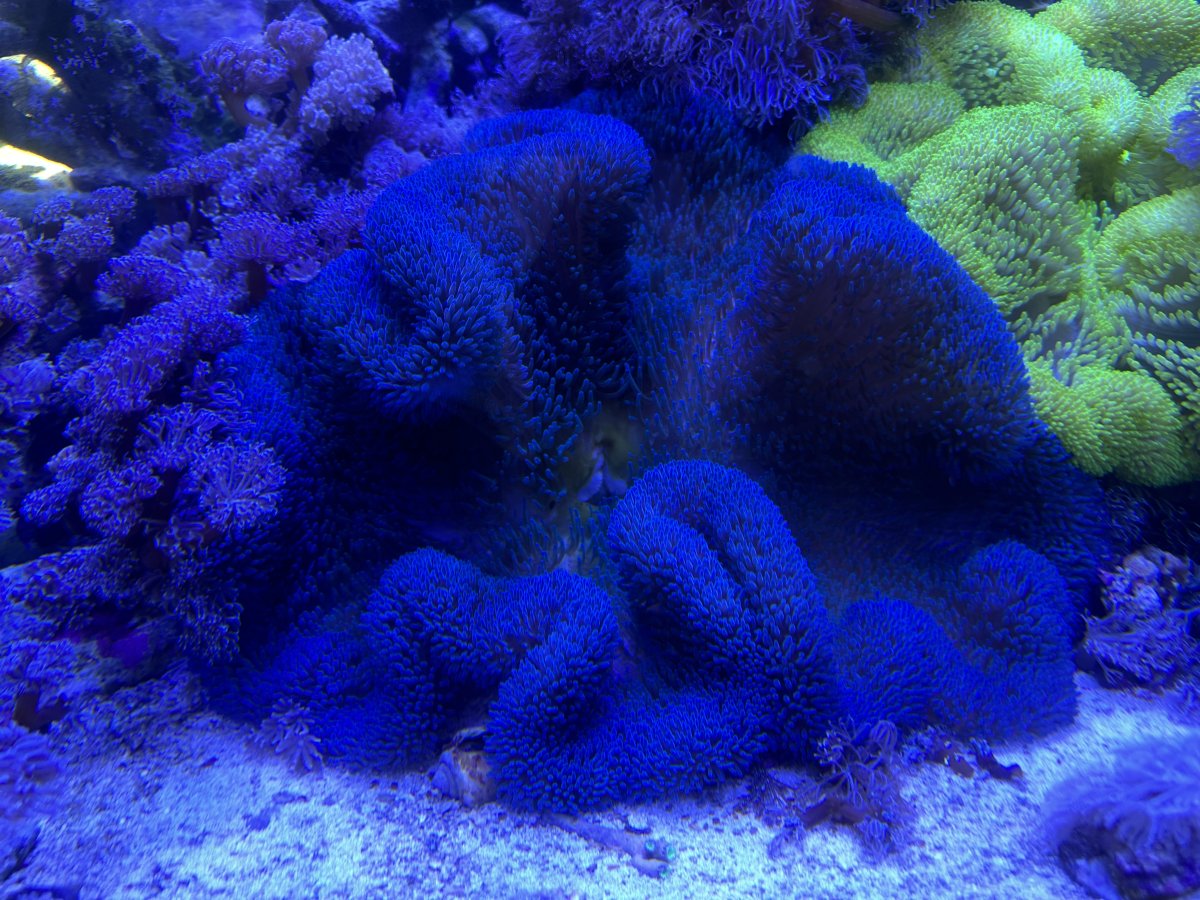 IMG_7157.jpeg