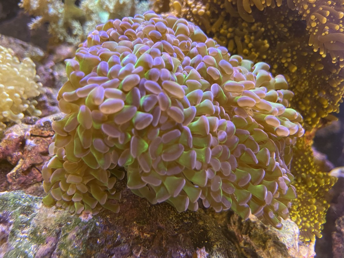 IMG_7159.jpeg
