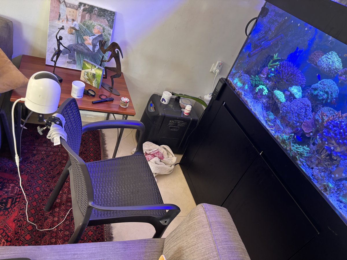 Is There a Peak, Then Decline in Reefing After Many Years? | Page 3 ...
