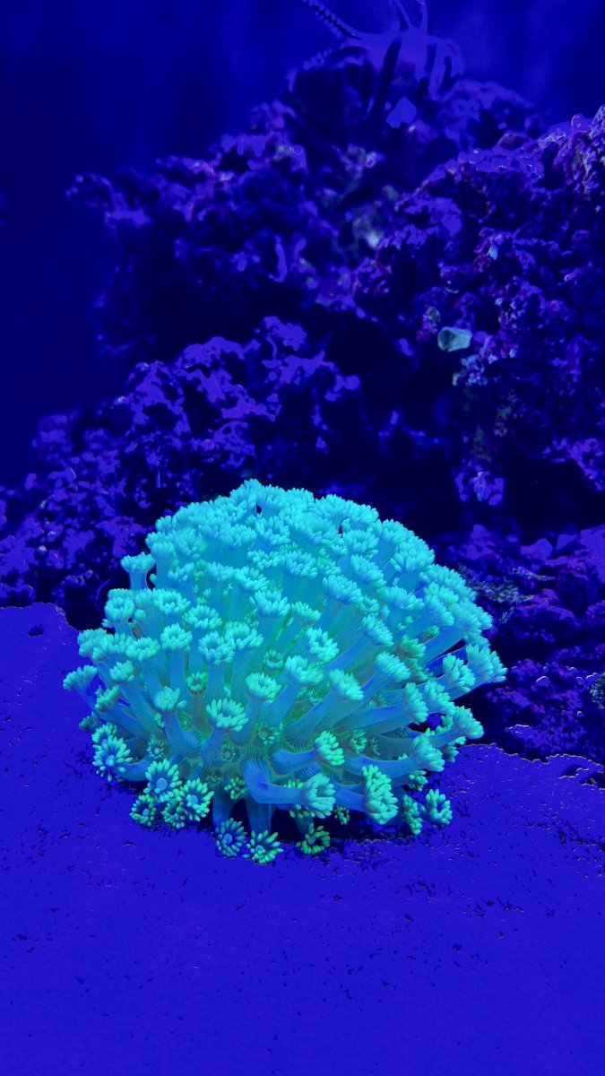 IMG_7179.jpeg
