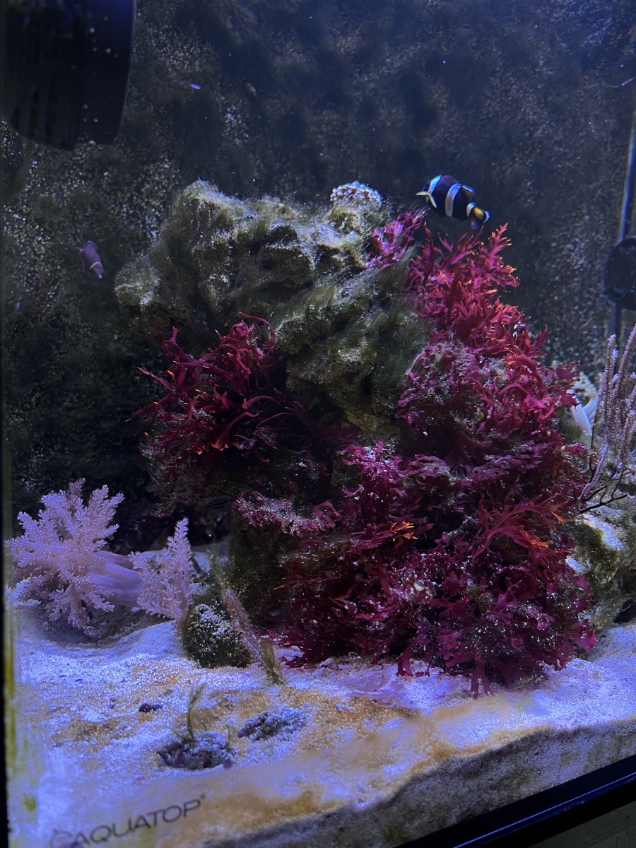 IMG_7206.jpeg