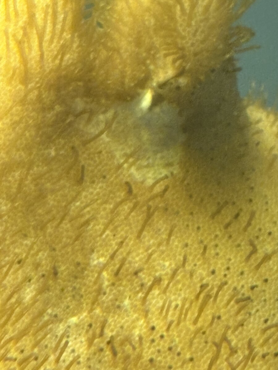 IMG_7211.jpeg