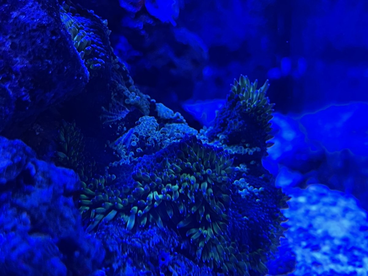 IMG_7215.jpeg