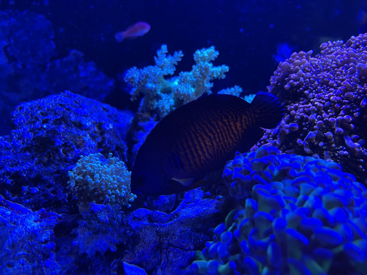 IMG_7220.jpeg