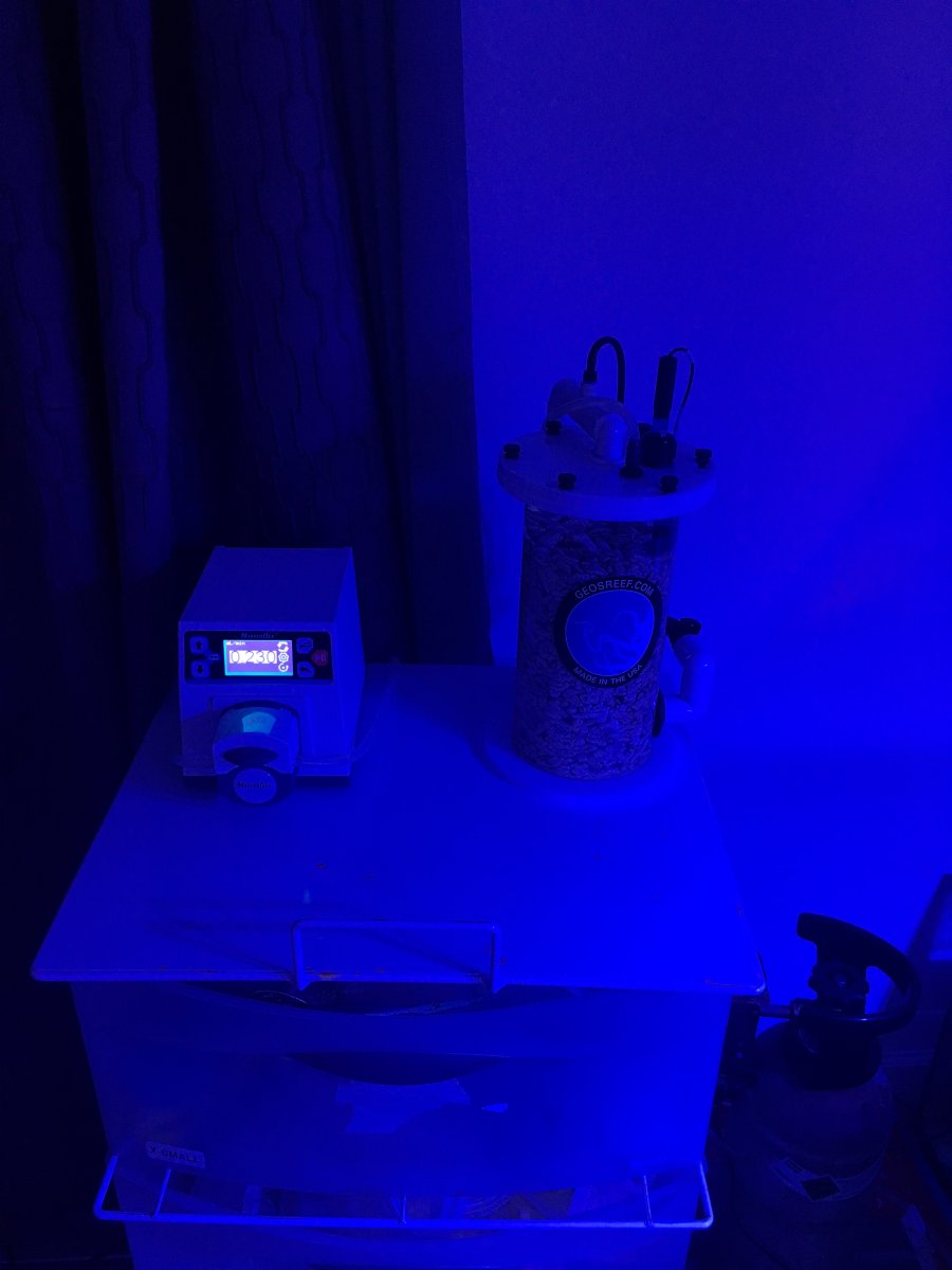 IMG_7225.JPG