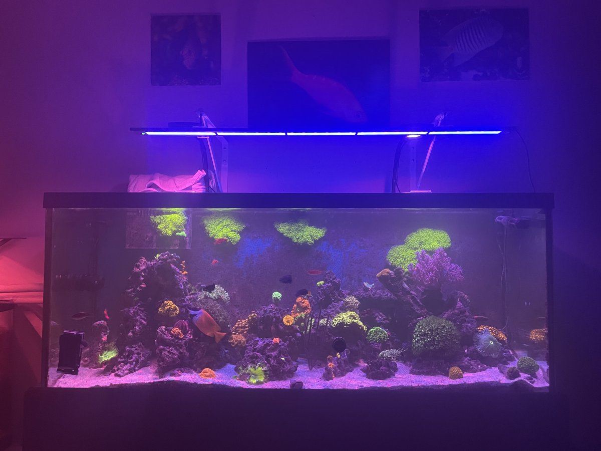 Build Thread - You can't have everything. Where would you put it ...