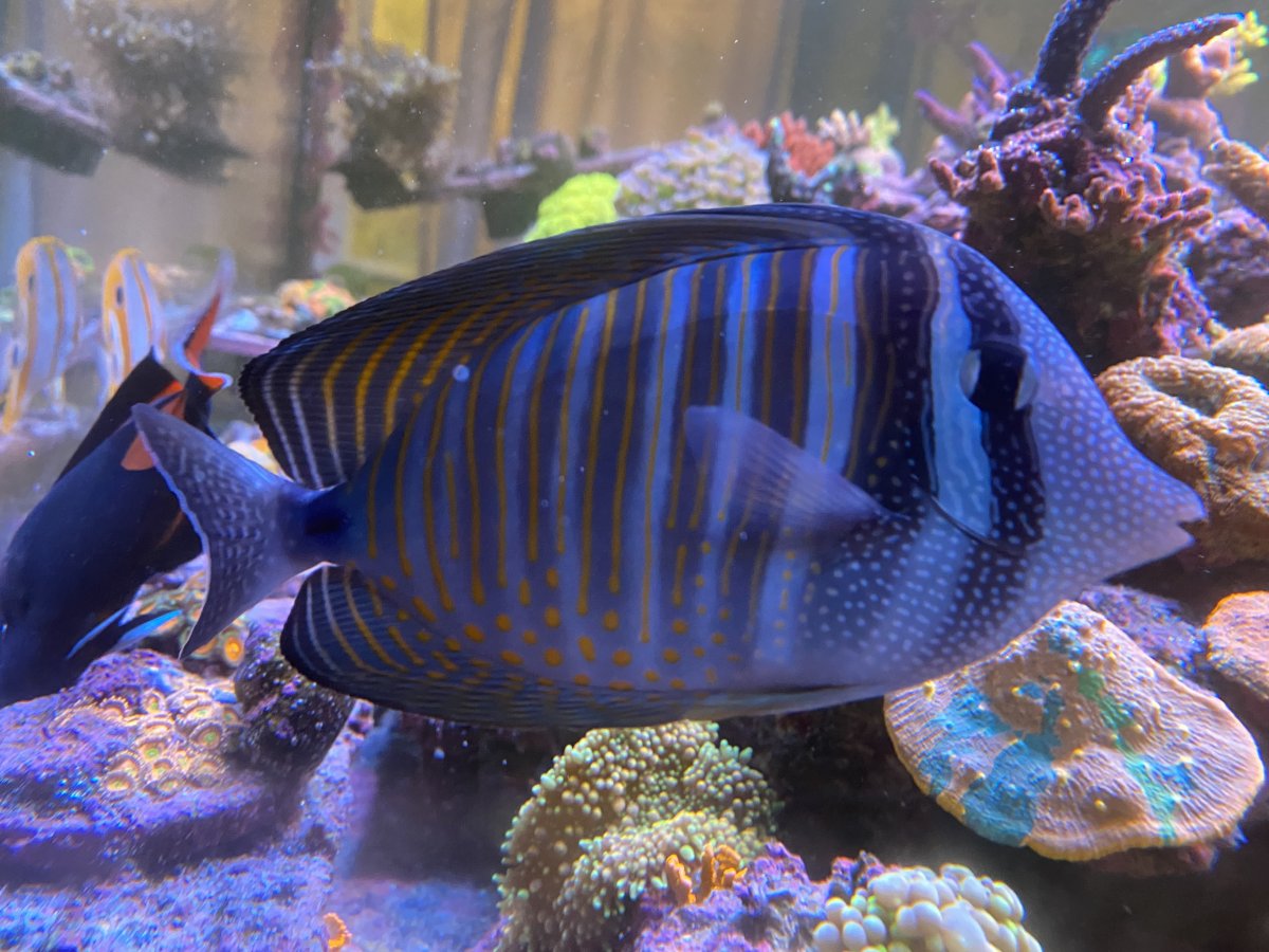 IMG_7246.jpeg