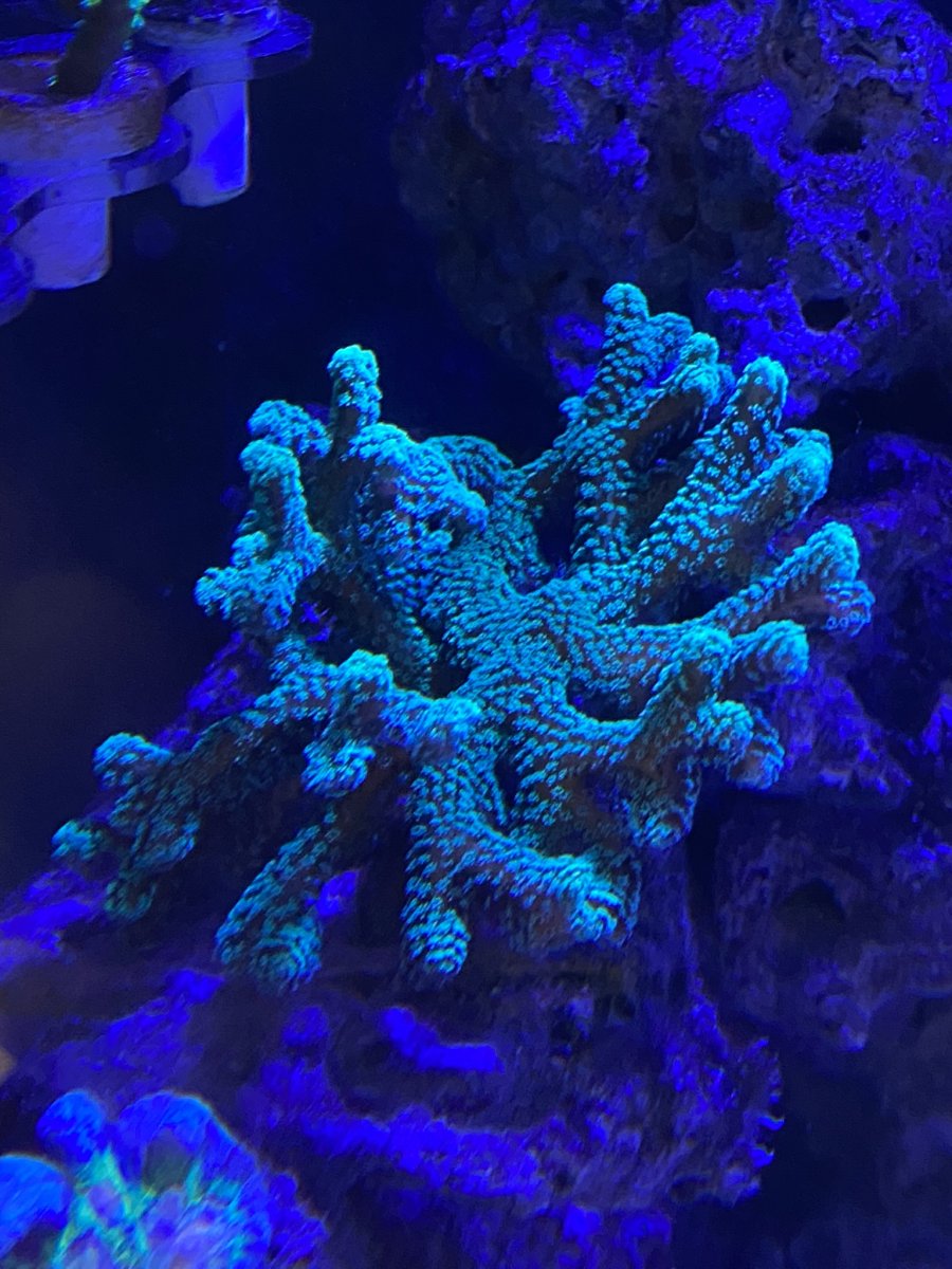 IMG_7287 (1).JPEG