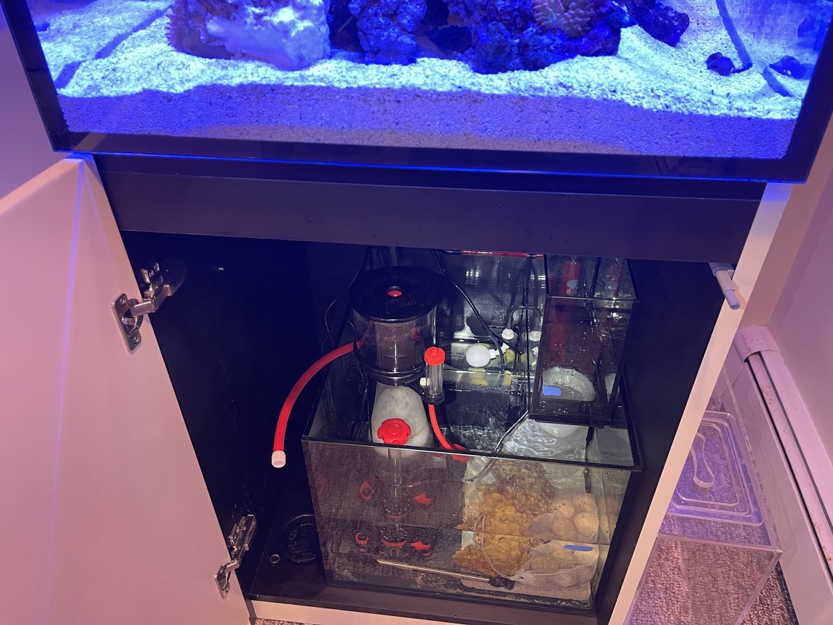 Red Sea Reefer 200 xl trying to get water level in sump dialed in ...