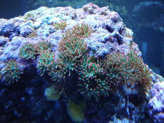 IMG_7325.jpeg