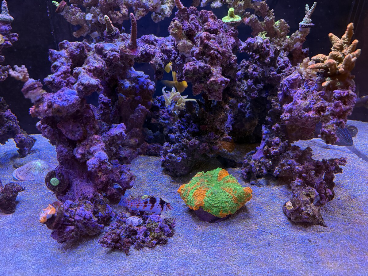 IMG_7326.jpeg