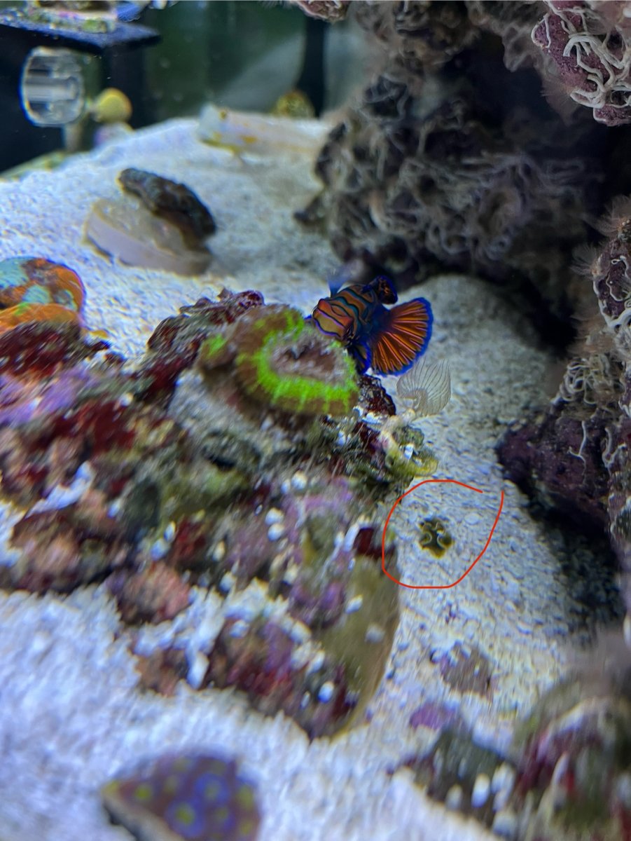 IMG_7341.jpeg