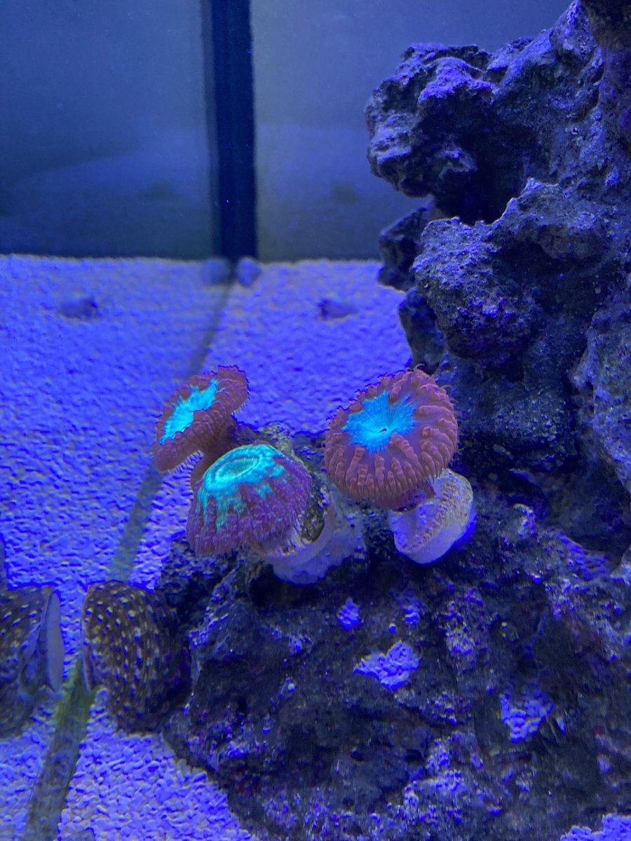 IMG_7354.jpeg