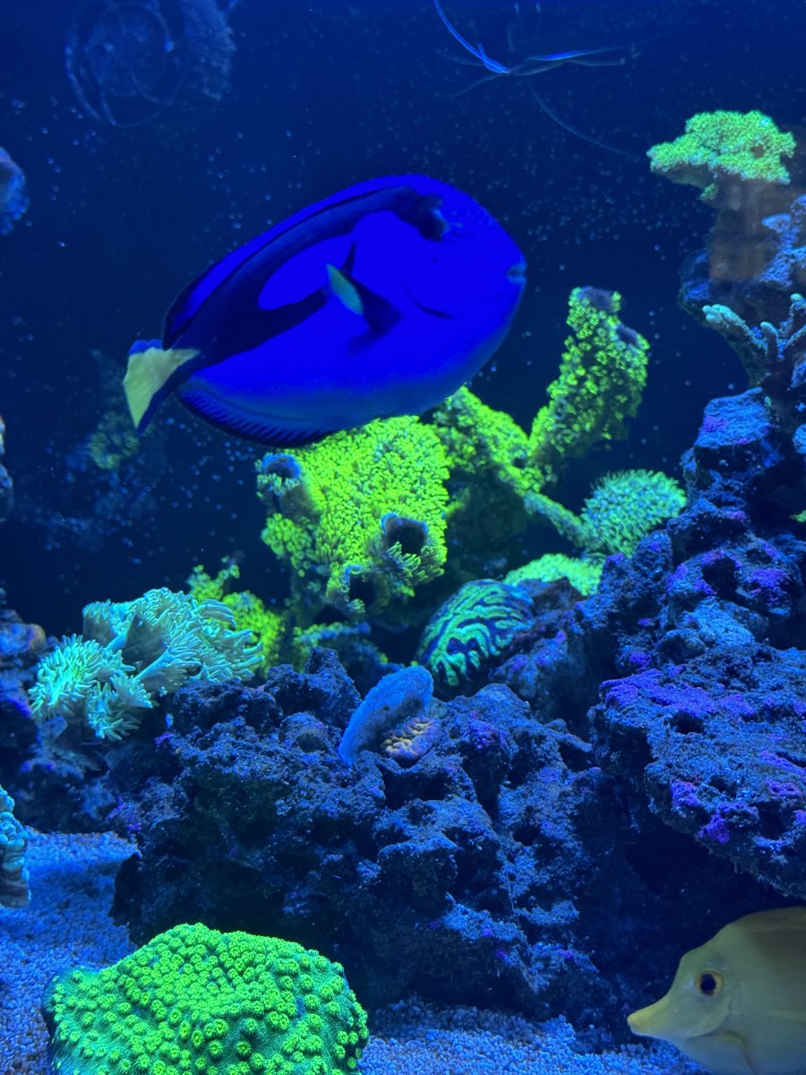 IMG_7354.jpeg
