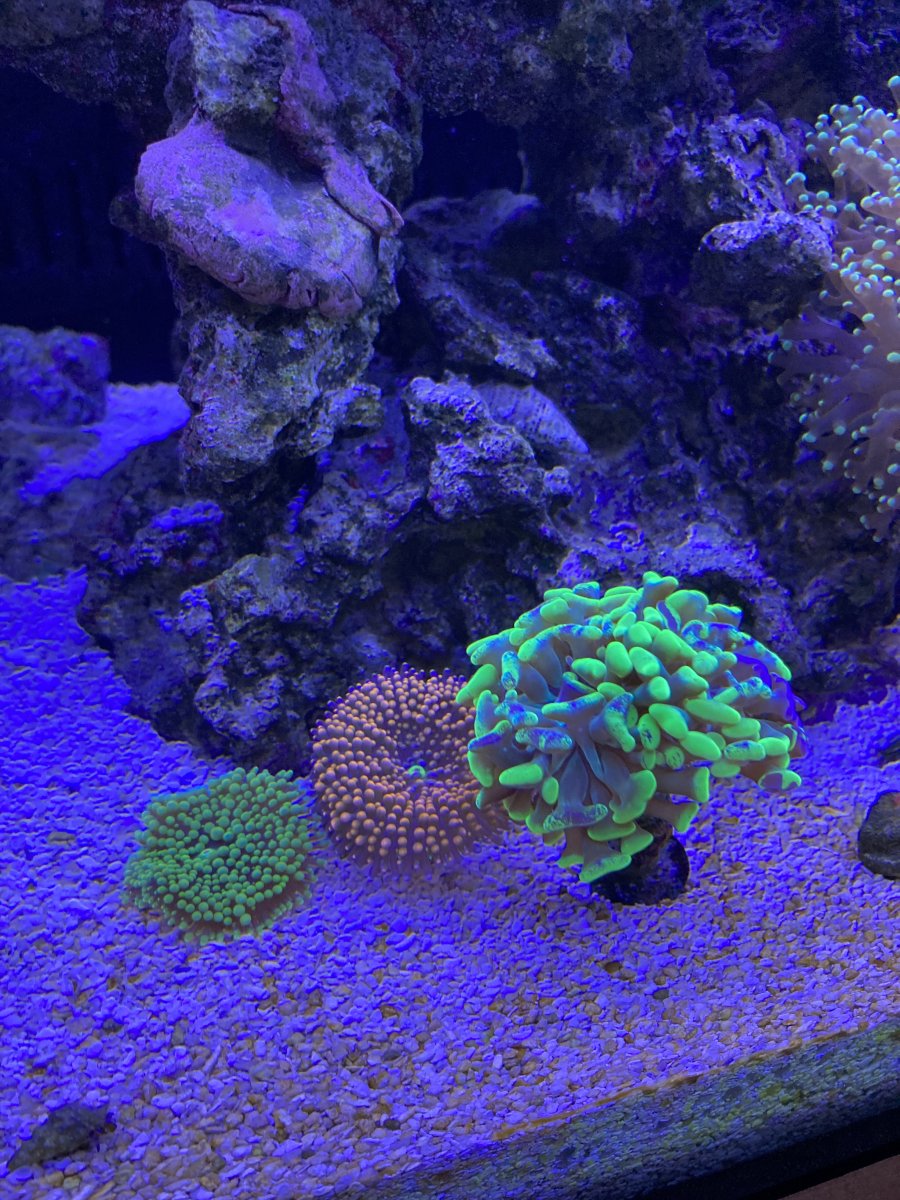 IMG_7356.jpeg