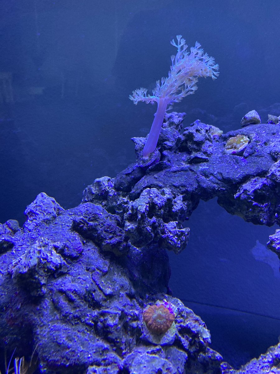 IMG_7359.jpeg
